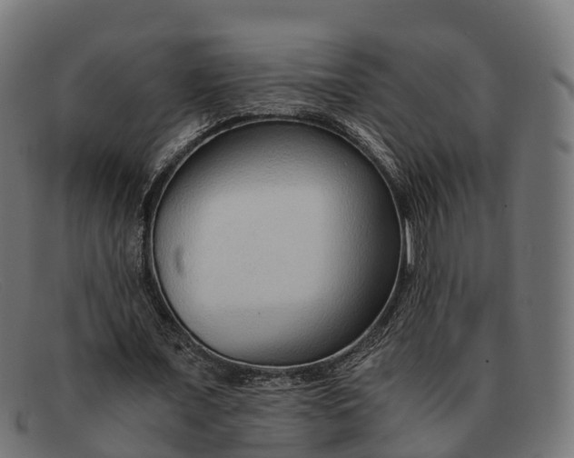 X0000091680675200709131548