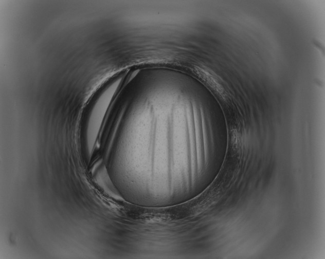 X0000091680676200709131548