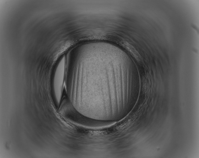 X0000091680677200709131548