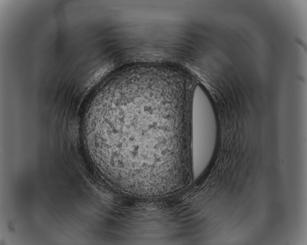 X0000091680679200709131548