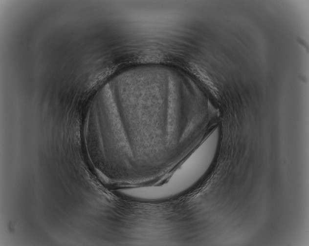 X0000091680681200709131548