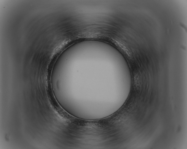 X0000091680682200709131548