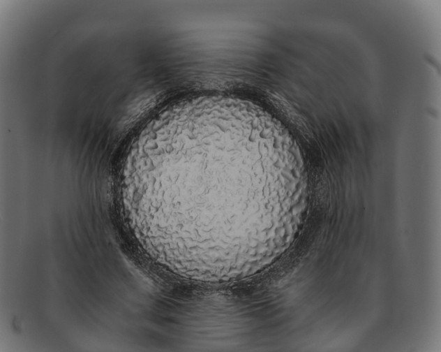 X0000091680683200709131548