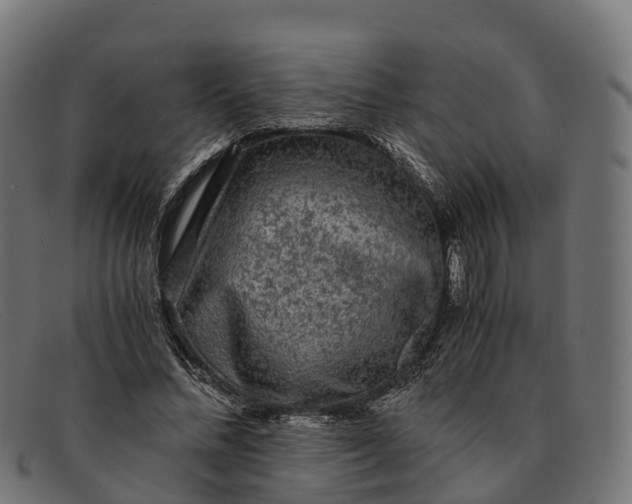 X0000091680684200709131548