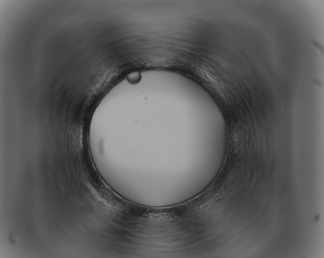 X0000091680686200709131548