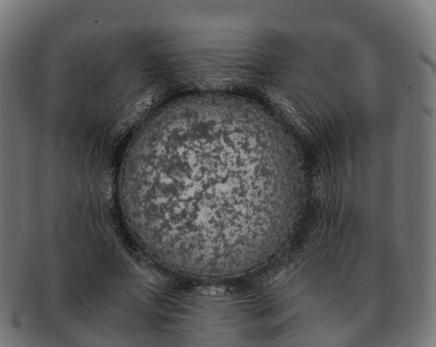 X0000091680687200709131548