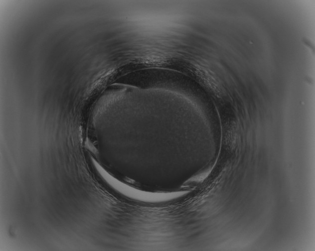 X0000091680689200709131548