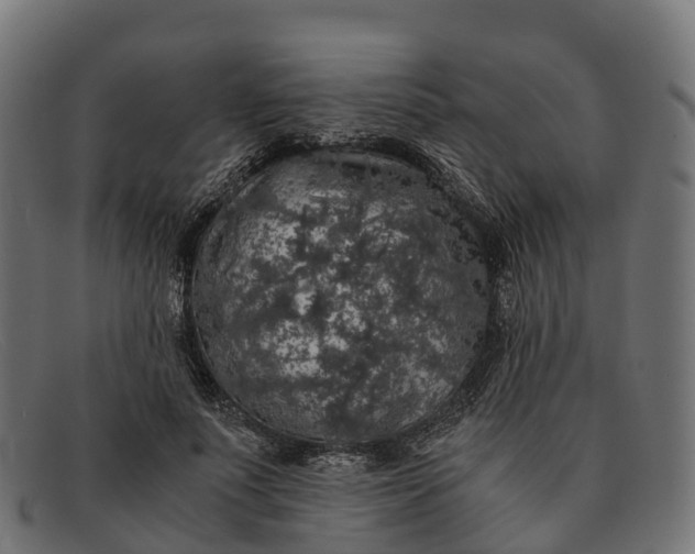 X0000091680691200709131548