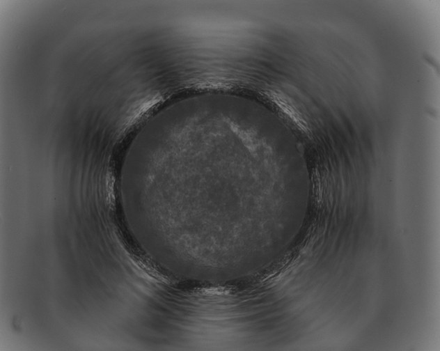 X0000091680692200709131548