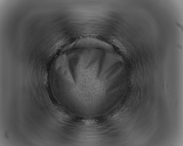 X0000091680693200709131548