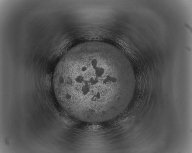 X0000091680695200709131548