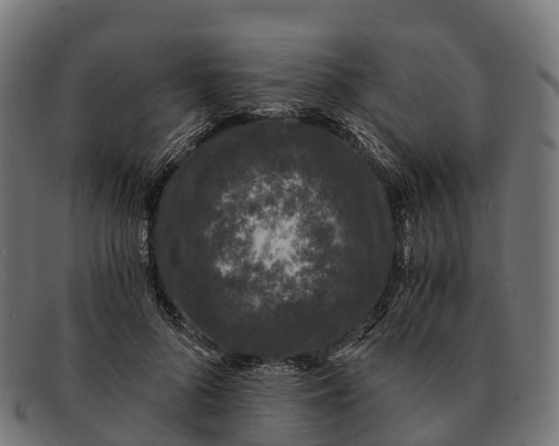 X0000091680696200709131548