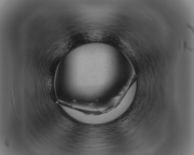 X0000091680697200709131548