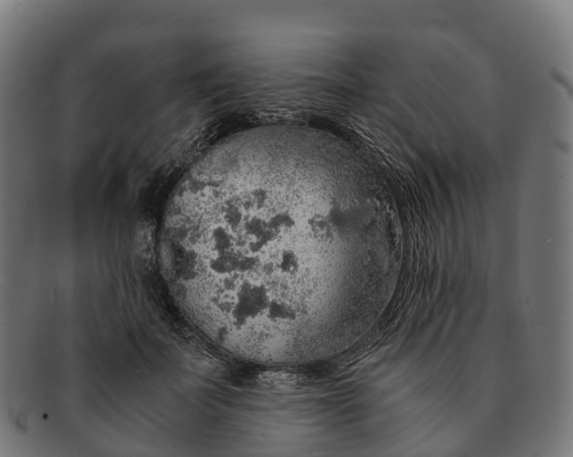 X0000091680699200709131548