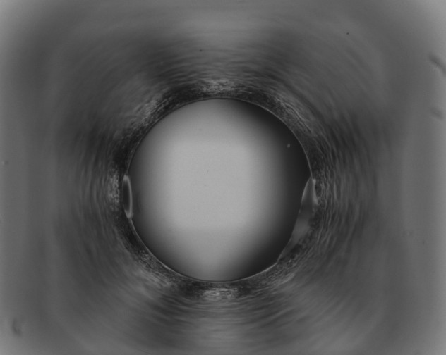 X0000091680700200709131548