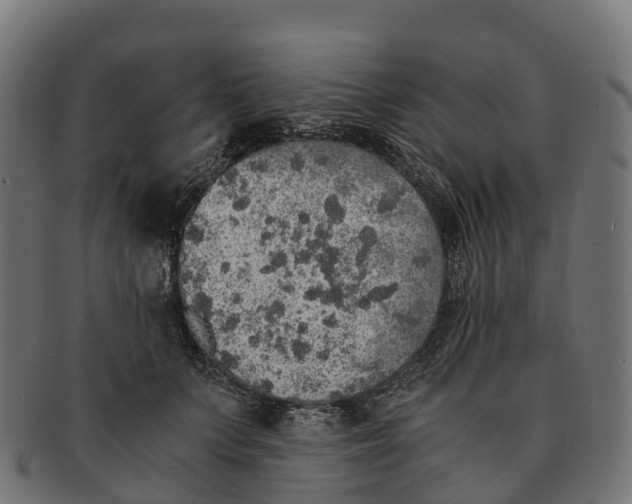 X0000091680703200709131547