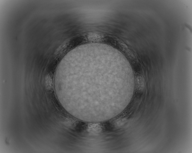 X0000091680705200709131547