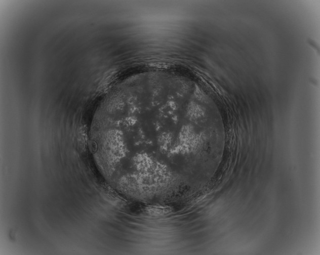 X0000091680707200709131547