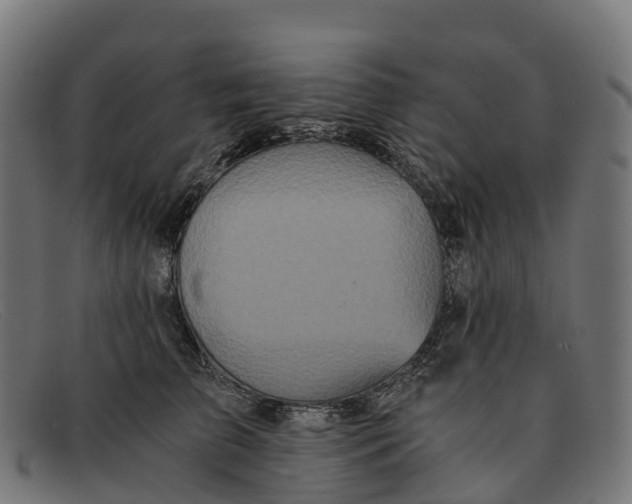 X0000091680709200709131547