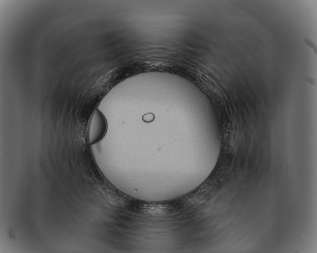 X0000091680710200709131547