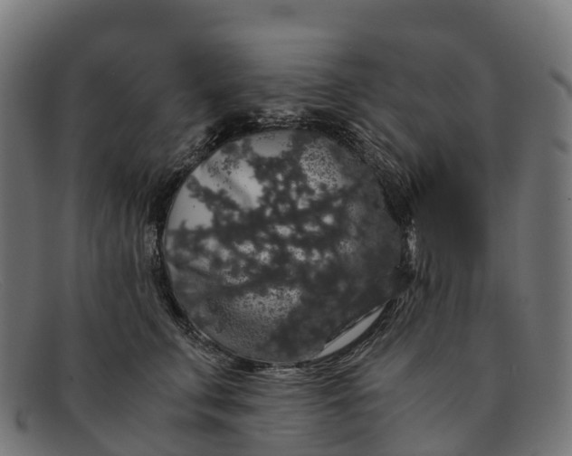 X0000091680711200709131547