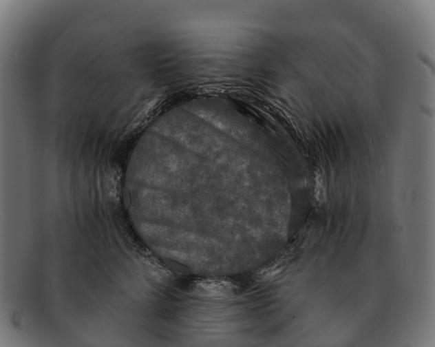 X0000091680712200709131547