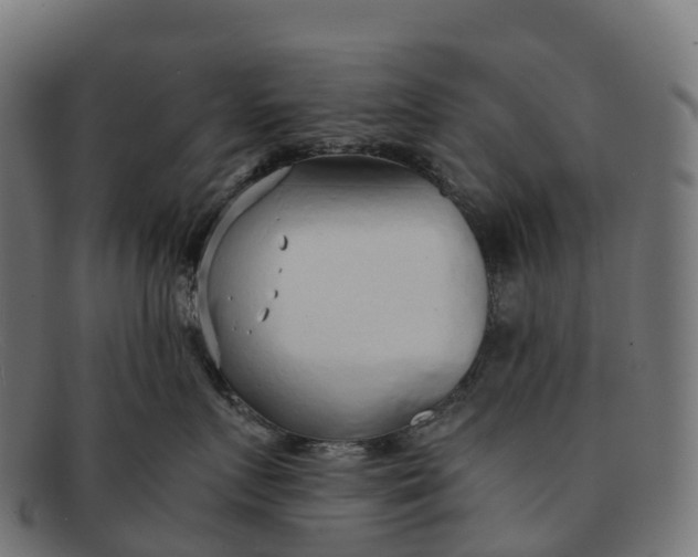 X0000091680719200709131547