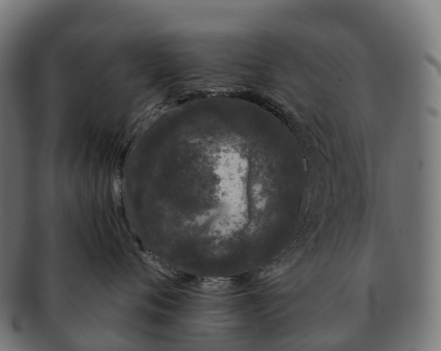 X0000091680720200709131547