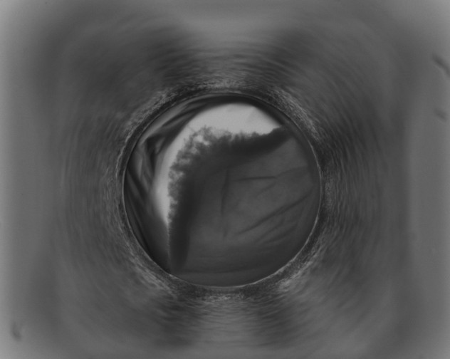 X0000091680721200709131547