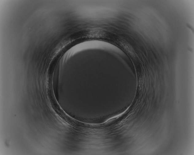 X0000091680722200709131547