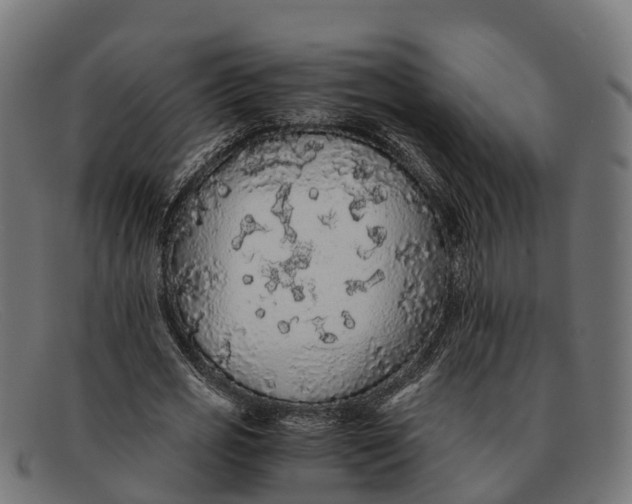 X0000091680725200709131547