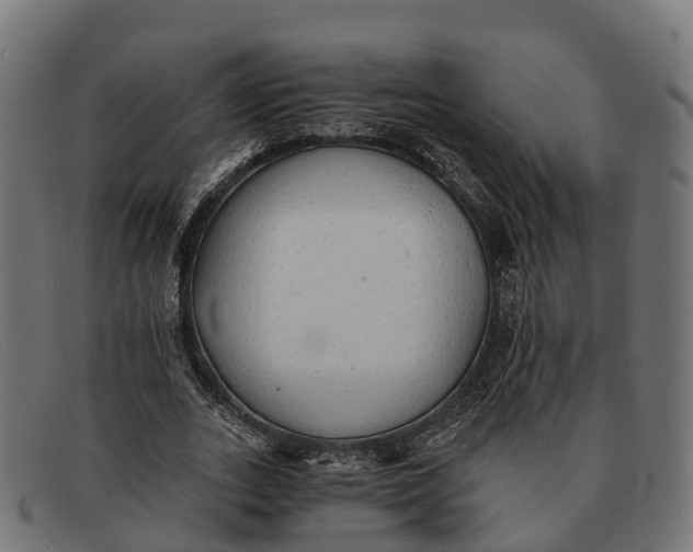 X0000091680727200709131547