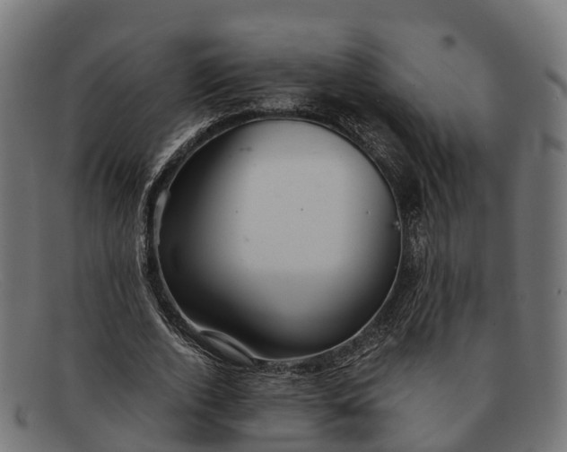 X0000091680728200709131547