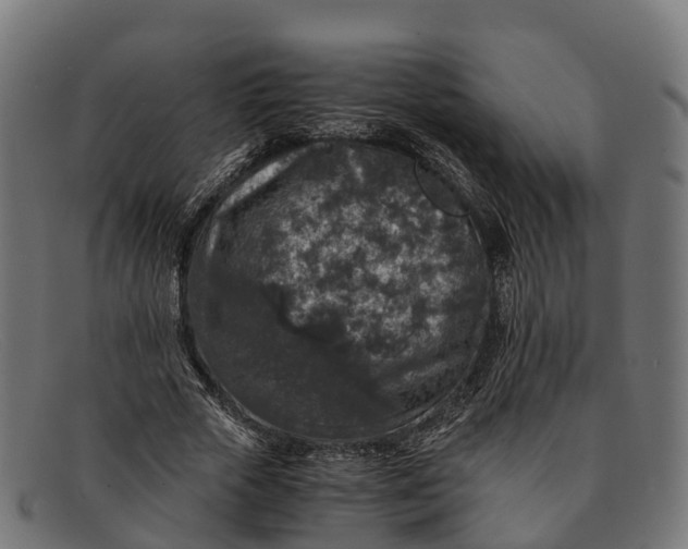 X0000091680729200709131547