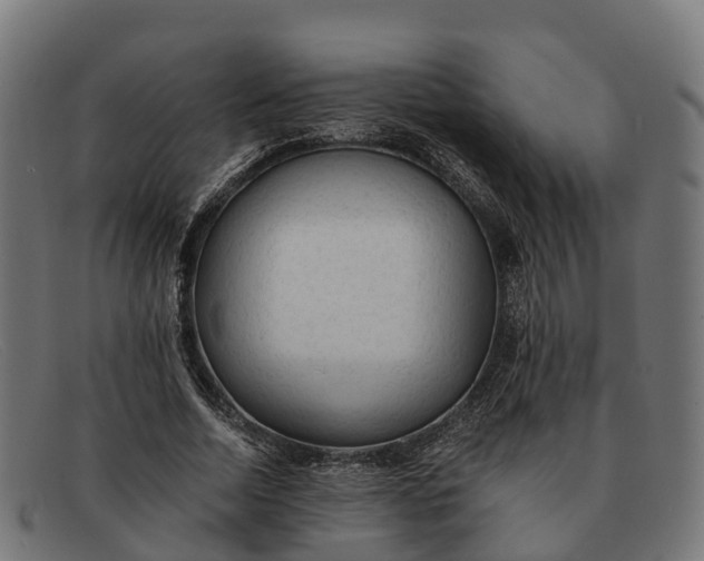 X0000091680730200709131547