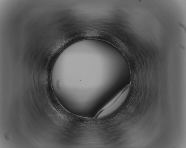 X0000091680732200709131547