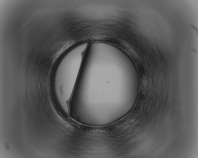 X0000091680734200709131547