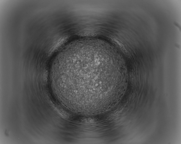 X0000091680735200709131547