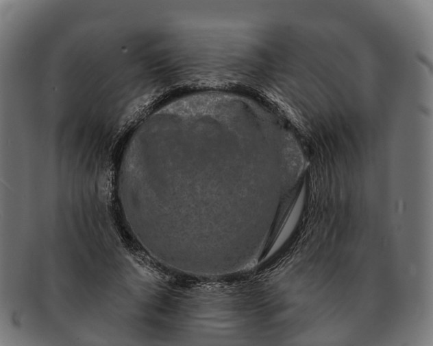 X0000091680736200709131547