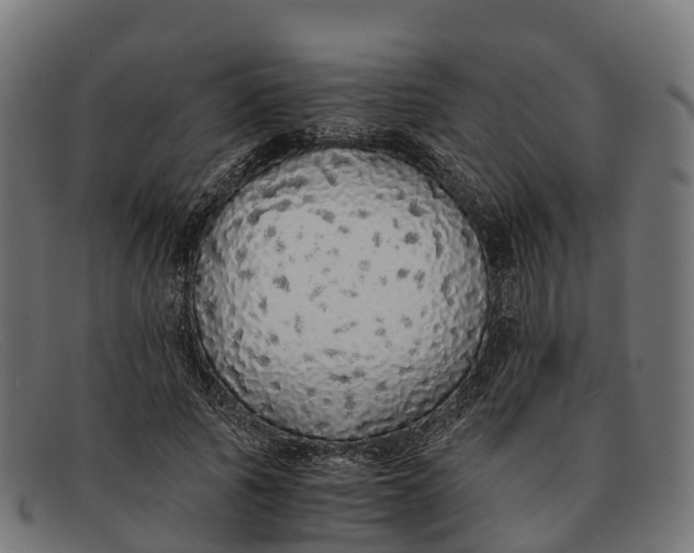 X0000091680737200709131547