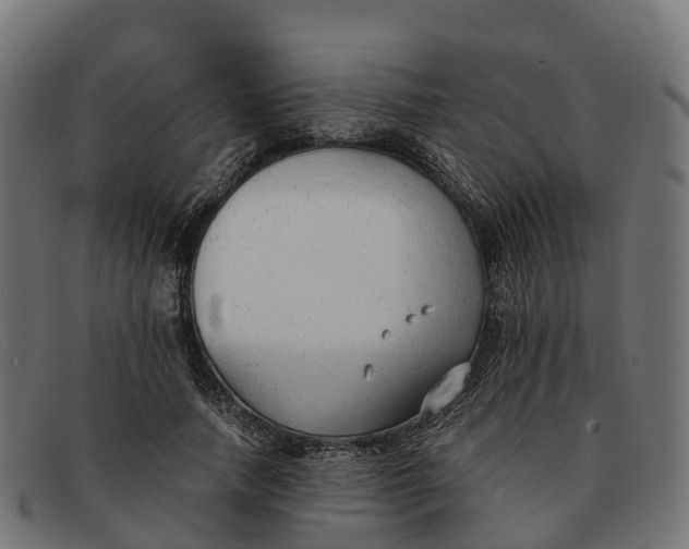 X0000091680738200709131547