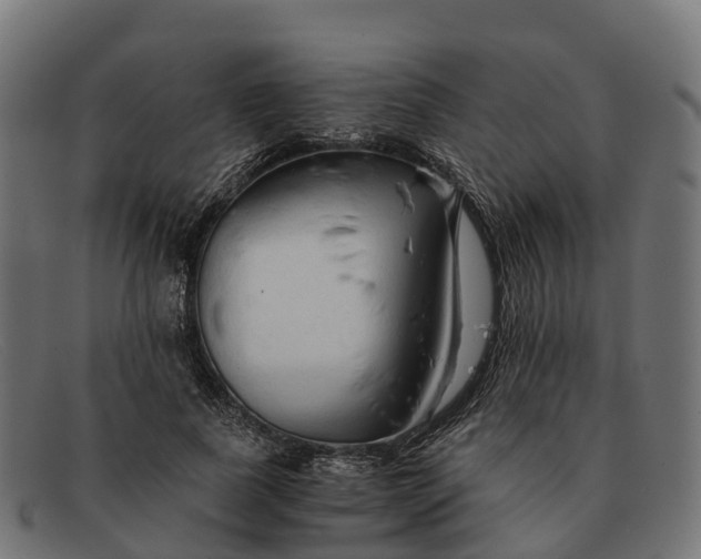 X0000091680739200709131547