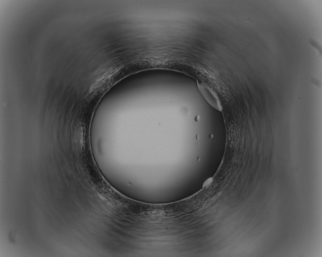 X0000091680740200709131547