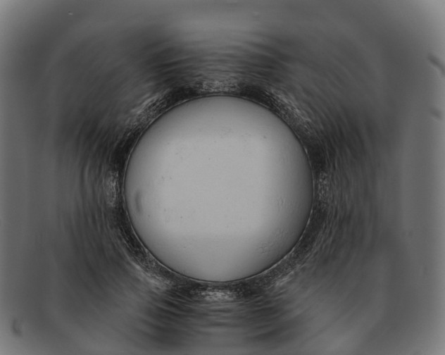 X0000091680741200709131547