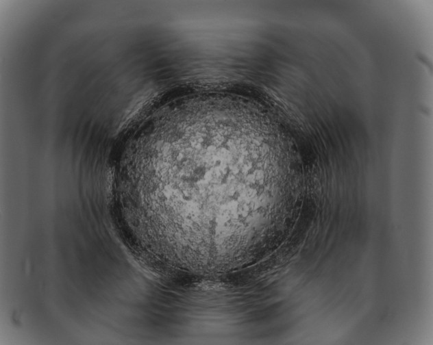 X0000091680742200709131547