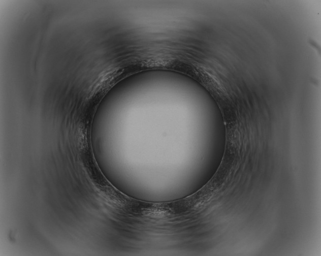 X0000091680743200709131547