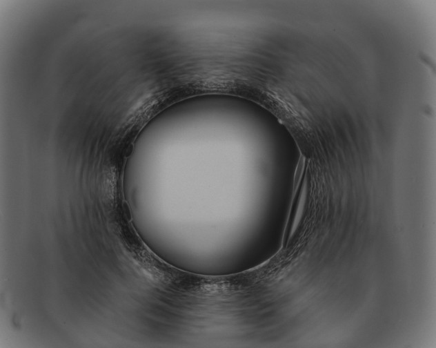 X0000091680744200709131547