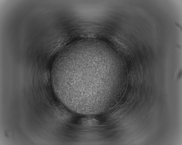 X0000091680747200709131547