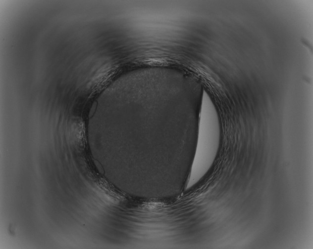 X0000091680748200709131547