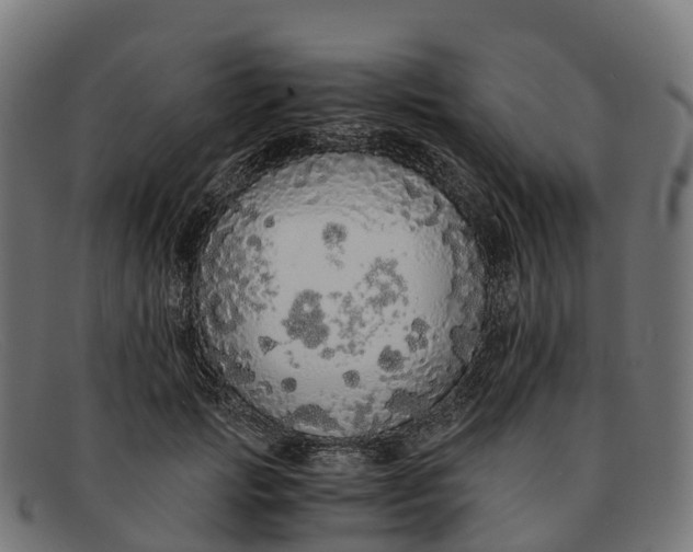 X0000091680749200709131547